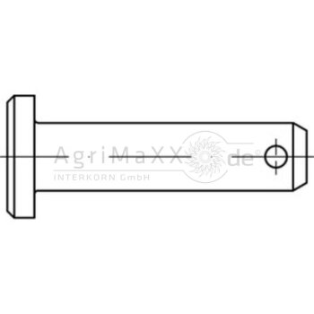 Bolzen 20x65 DIN 1444 - Länge: 65 mm - Stahl