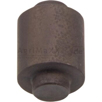 SAF-HOLLAND Nockenrolle für SK RS9042 - 01265001900