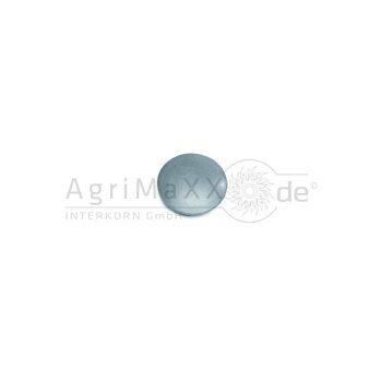 Arvin Meritor Stopfen - 21211385