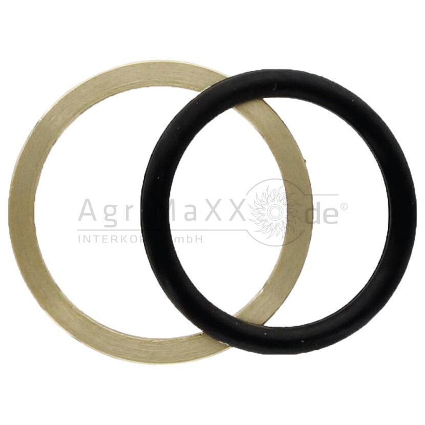 Druckring mit O-Ring