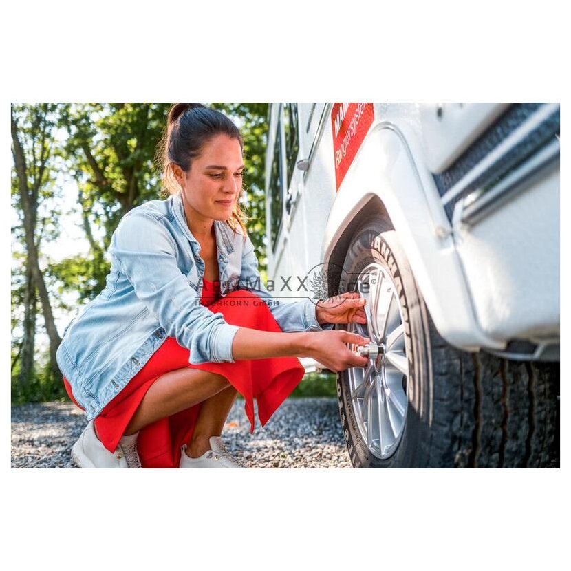 AL-KO PROSAFE Radkralle - 1733706