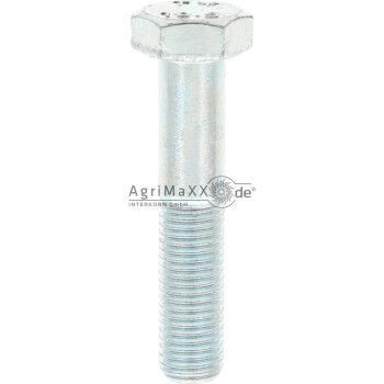 Sechskantschraube M12x60 DIN 960 - 02.5029.35.80