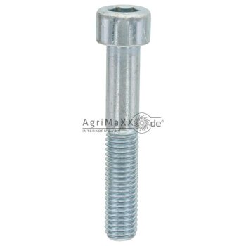 Zylinderschraube M10x60 DIN 912
