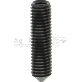 Gewindestift M12x45 DIN 914
