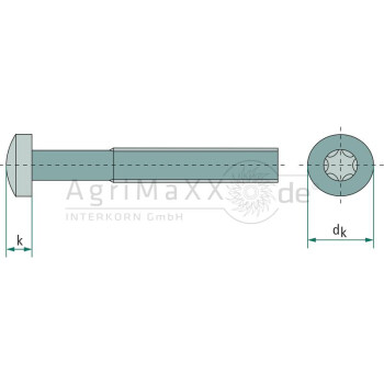 Linsenschraube M6x30 DIN 7985