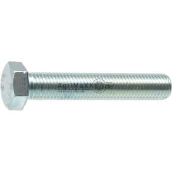 Sechskantschraube M16x60 DIN 933