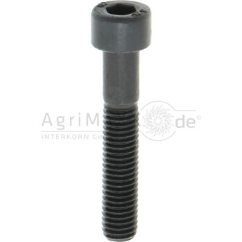 Zylinderschraube M8x45 DIN 912