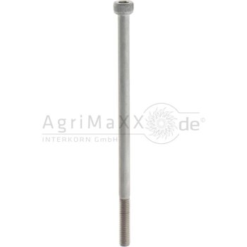 Zylinderschraube M42x320 DIN 912