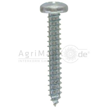 Linsen-Blechschraube 4,8x32 DIN 7981