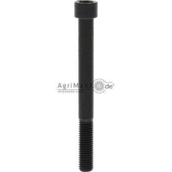 Zylinderschraube M12x60 DIN 912