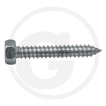 Sechskantschraube M3x9,5 DIN 7976