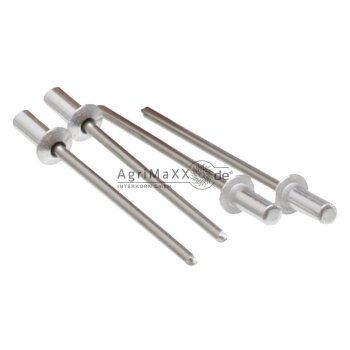 Flachkopf-Dicht-Blindniete 3,2x8