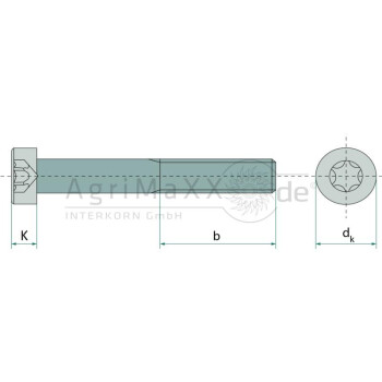 Zylinderschraube M8x12 DIN 7984