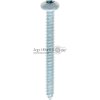 Linsen-Blechschraube 4,8x50 DIN 7981