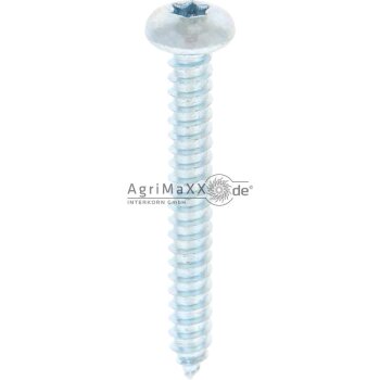 Linsen-Blechschraube 5,5x45 DIN 7981