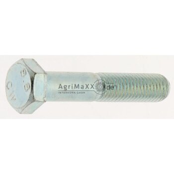 Sechskantschraube M14x75 DIN 933