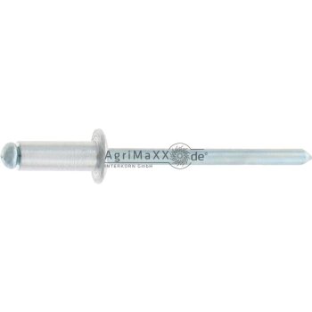 Blister Blindniete 05X12