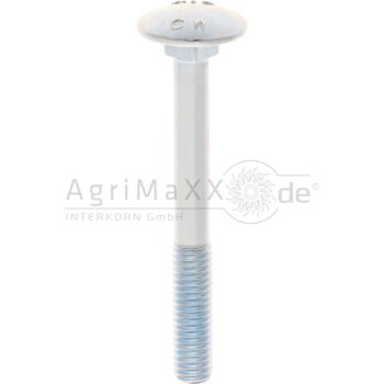Schlossschraube M6x55 DIN 603