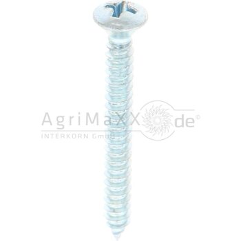 Linsensenk-Blechschraube 4,2x38 DIN 7983