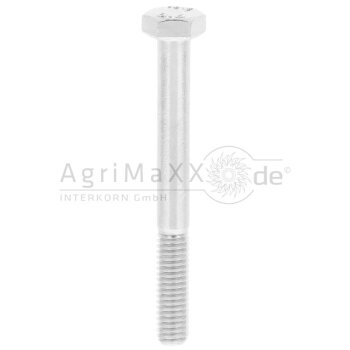 Sechskantschraube M6x55 DIN 931
