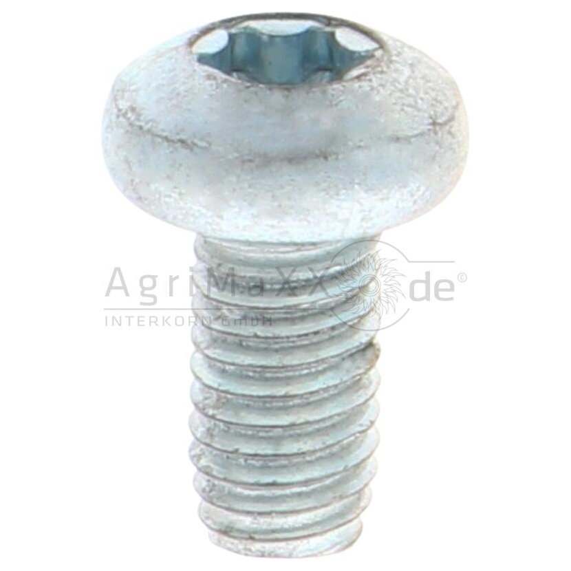 Gewindefurchende Schrauben M5x10 DIN7500