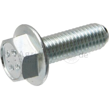 Sechskantschraube M10x30 DIN 6921