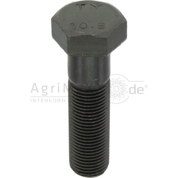 Sechskantschraube M16x60 DIN 960