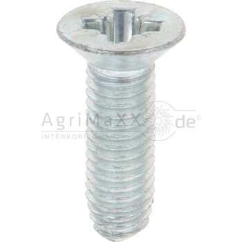 Gewindefurchende Schrauben M8x25 DIN7500