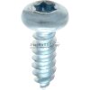Linsen-Blechschraube 4,8x38 DIN 7981
