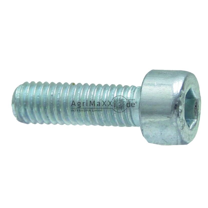 Zylinderschraube VA M12x170 DIN 912