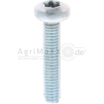 Gewindefurchende Schrauben M6x30 DIN7500