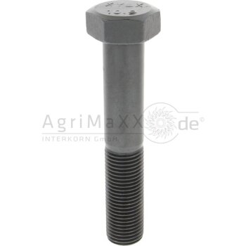 Sechskantschraube M39x220 DIN 931