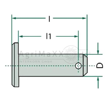 Bolzen 10x45 DIN 1444 - Länge: 45 mm - galvanisch...