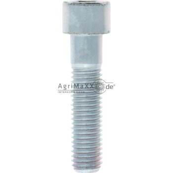 Zylinderschraube M14x60 DIN 912