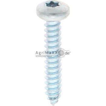 Linsen-Blechschraube 5,5x32 DIN 7981