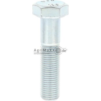 Sechskantschraube M14x60 DIN 960