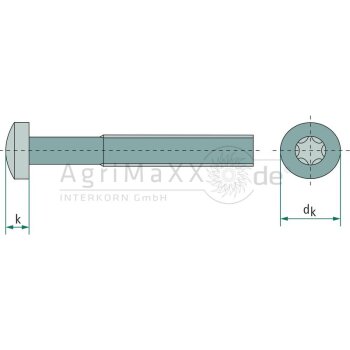 Linsenschraube M5x30 DIN 7985