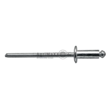 Blister Blindniete 03x16
