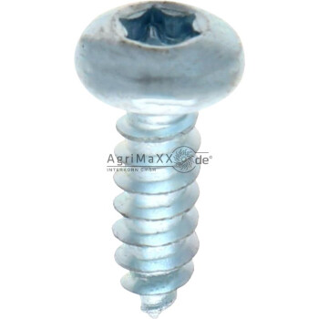 Linsen-Blechschraube 6,3x50 DIN 7981