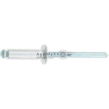 Blister Blindniete 05X16