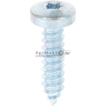 Linsen-Blechschraube 5,5x22 DIN 7981