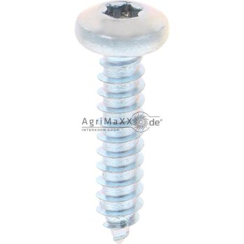 Linsen-Blechschraube 5,5x25 DIN 7981