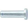 Bolzen 16x55 DIN 1444 - Länge: 65 mm - galvanisch verzinkt