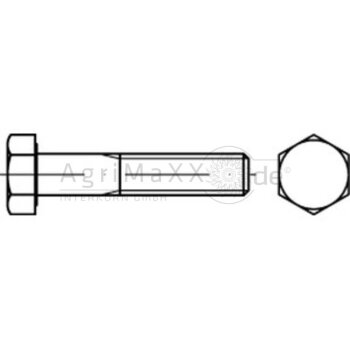 Sechskantschraube M20x75 DIN 931