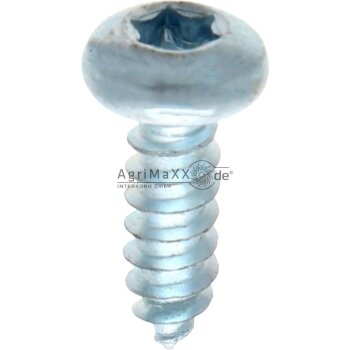 Linsen-Blechschraube 4,2x45 DIN 7981