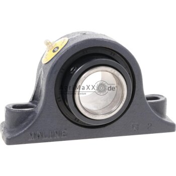 Rayco Lager - 804531
