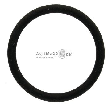 Annovi Reverberi O-Ring - 12354