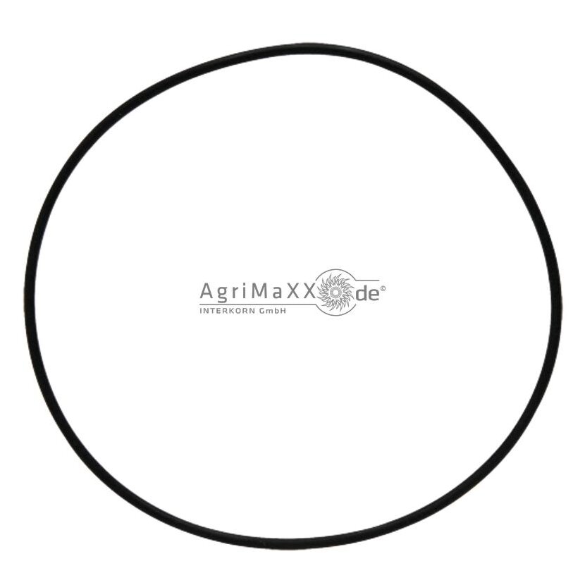 O-Ring - 00260180