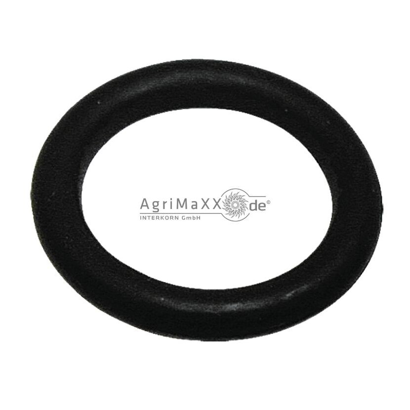 ARAG O-Ring - G10020