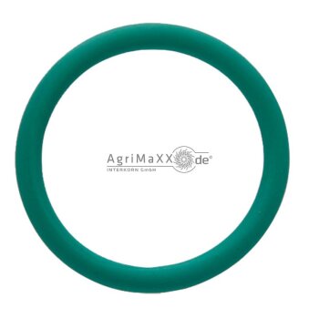 Tecomec O-Ring T4 Viton 3,53X28,17 - G00001276